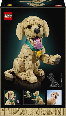 LEGO Icons - Golden retriever puppy - 11384