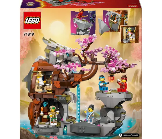 LEGO Ninjago - Altaar van de Stenen Draak - 71819