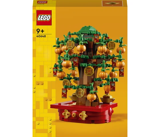 LEGO Seasonal - Geldboom - 40648