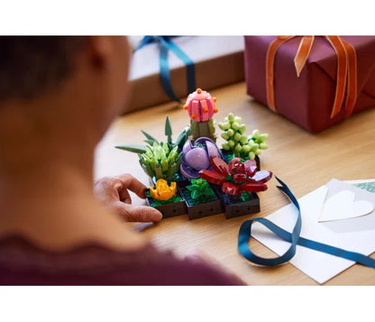 LEGO Botanische collectie - Vetplanten - 10309