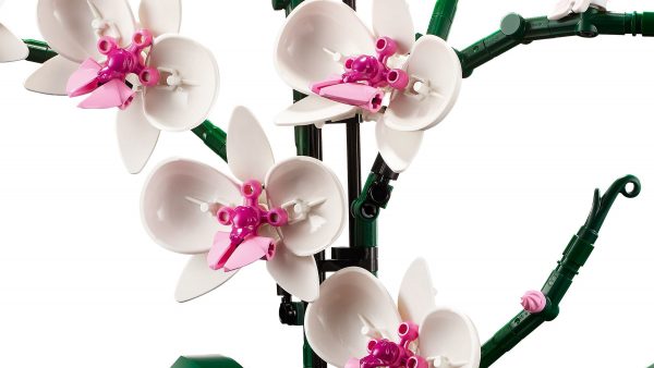 LEGO Botanische collectie - Orchidee - 10311