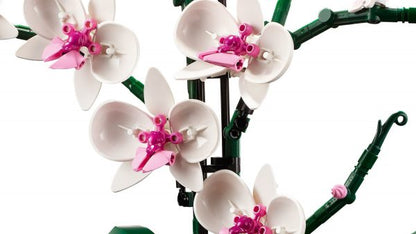 LEGO Botanische collectie - Orchidee - 10311