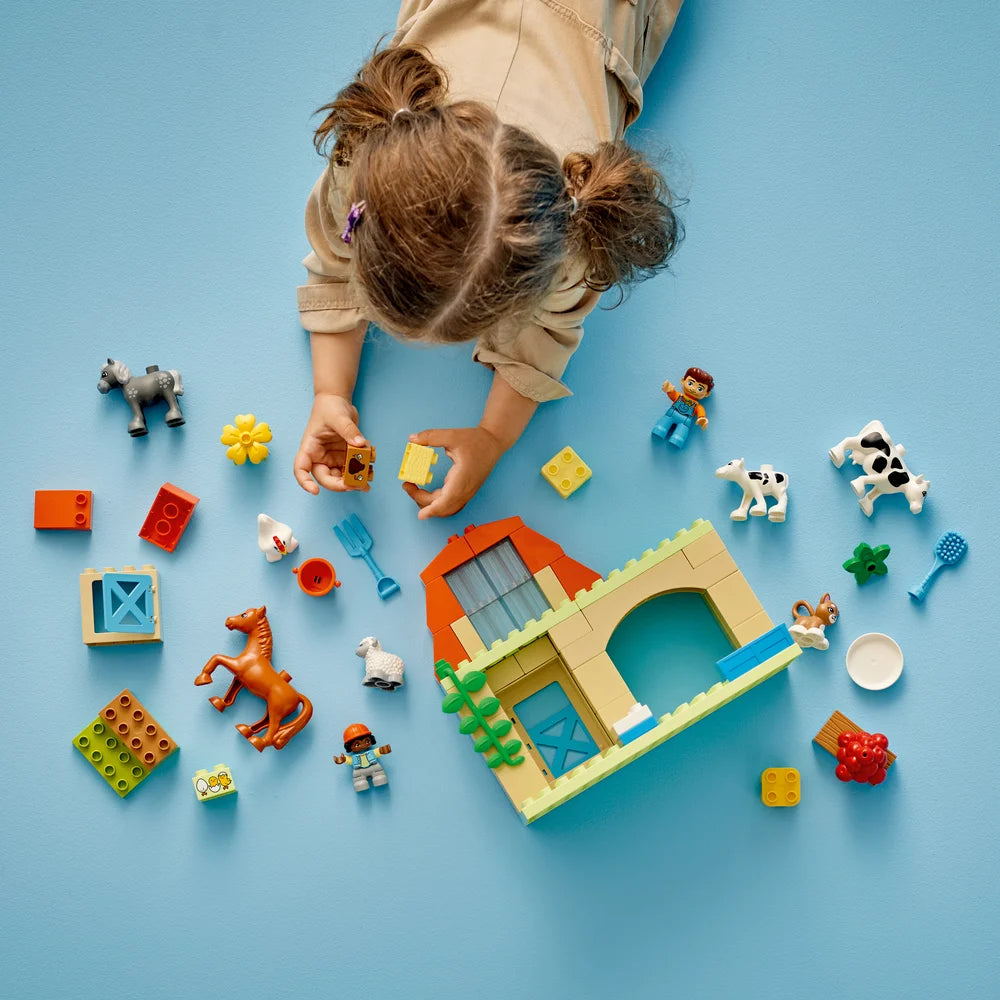 LEGO 10416