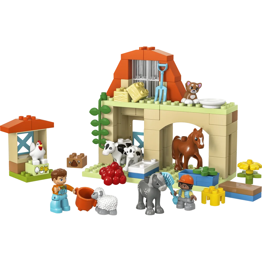 LEGO 10416