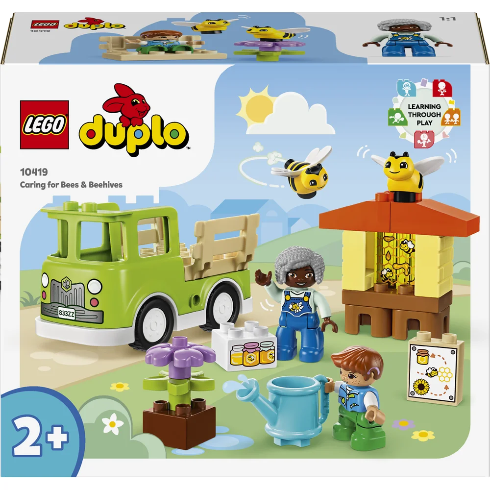 LEGO 10419