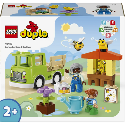 LEGO 10419