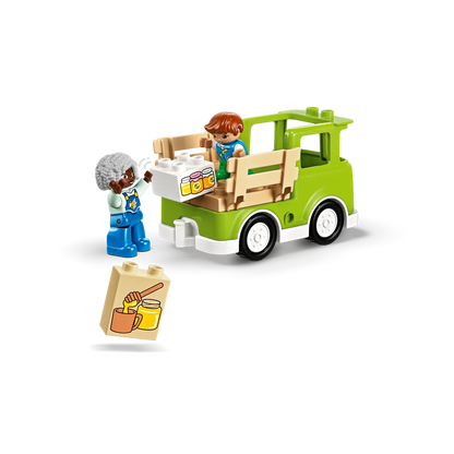 LEGO 10419