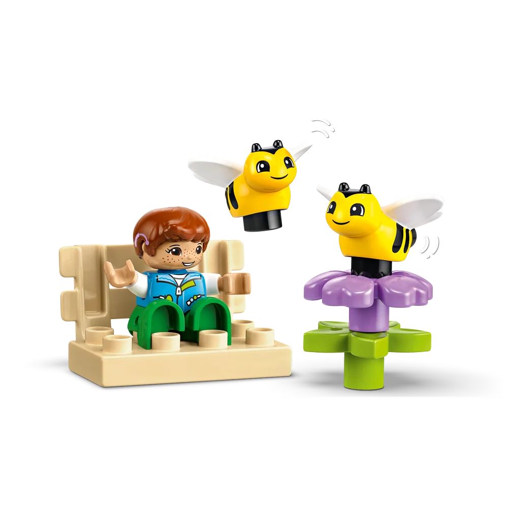 LEGO 10419