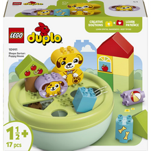 LEGO 10441