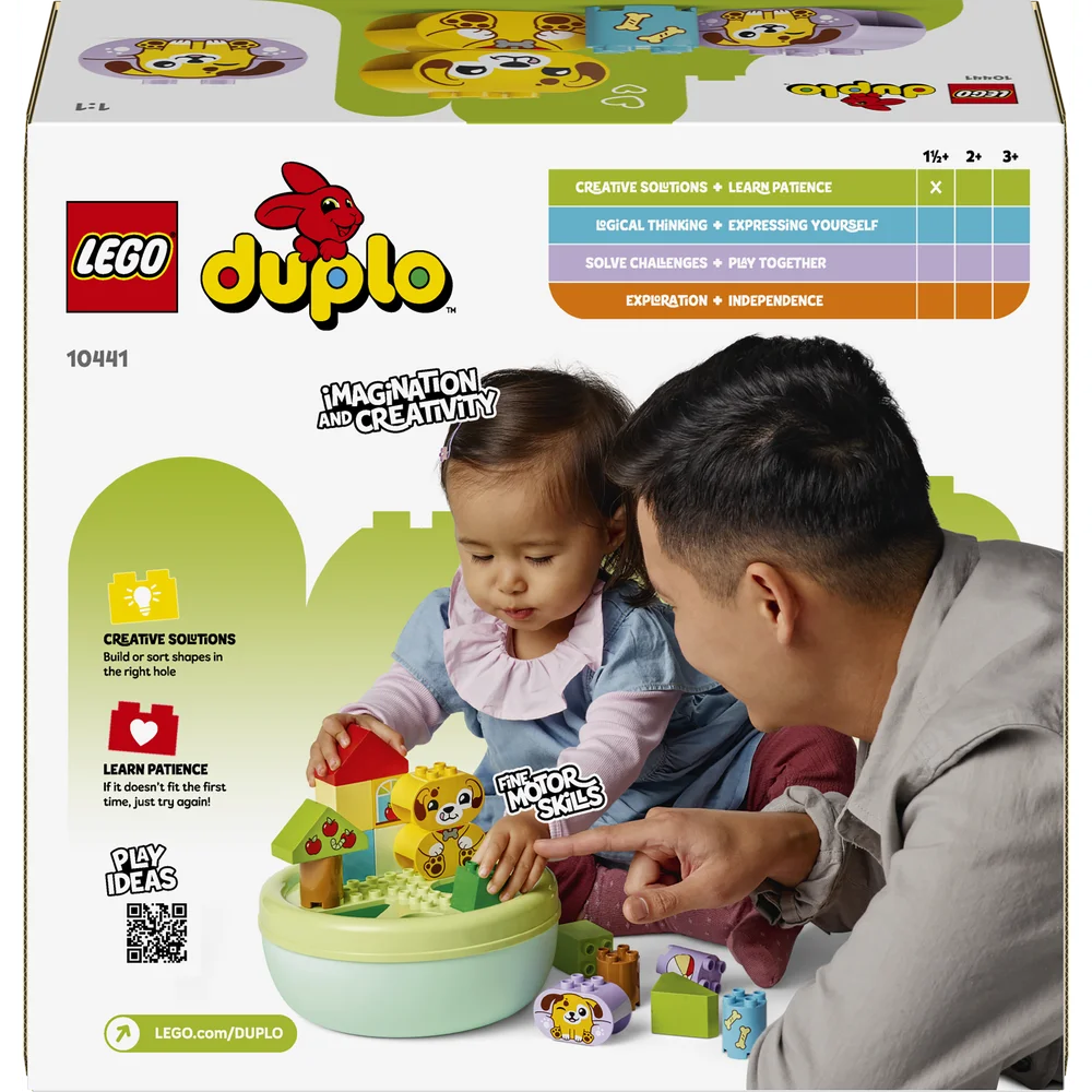 LEGO 10441
