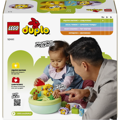 LEGO 10441