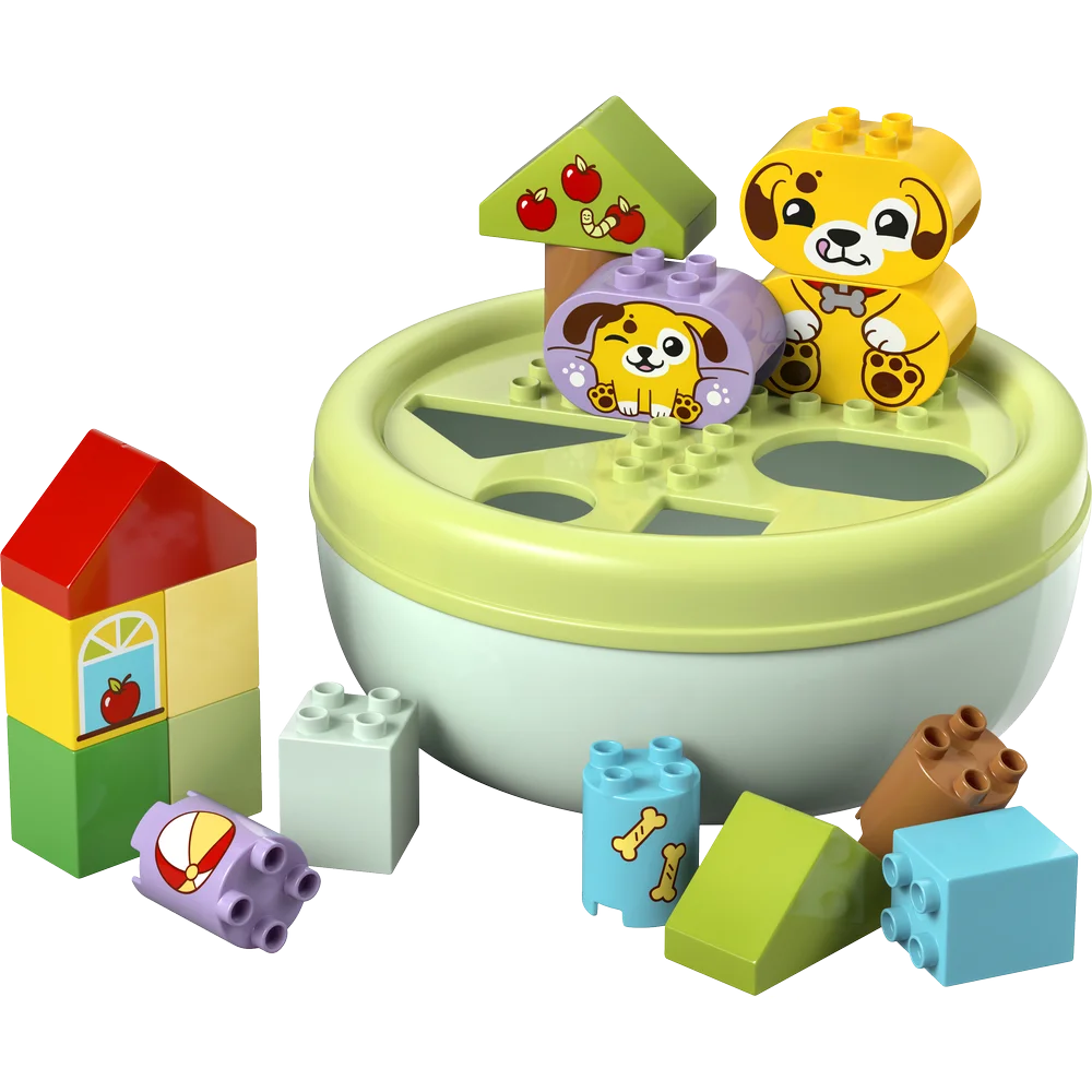 LEGO 10441