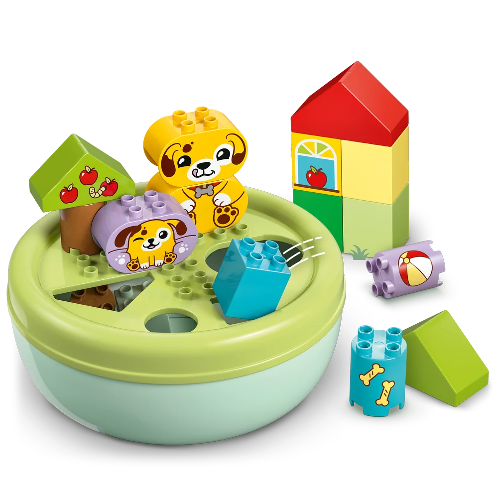 LEGO 10441