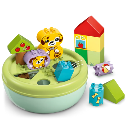 LEGO 10441