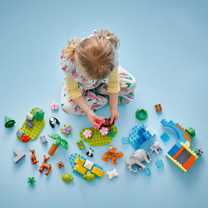 LEGO 10446