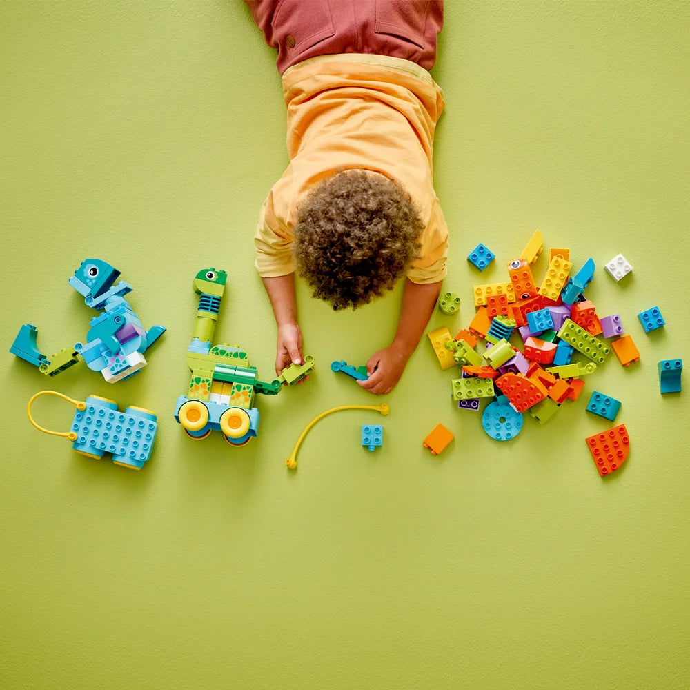 LEGO 10451