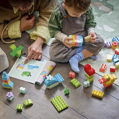 LEGO DUPLO - Kleurrijke creatieve doos - 10479