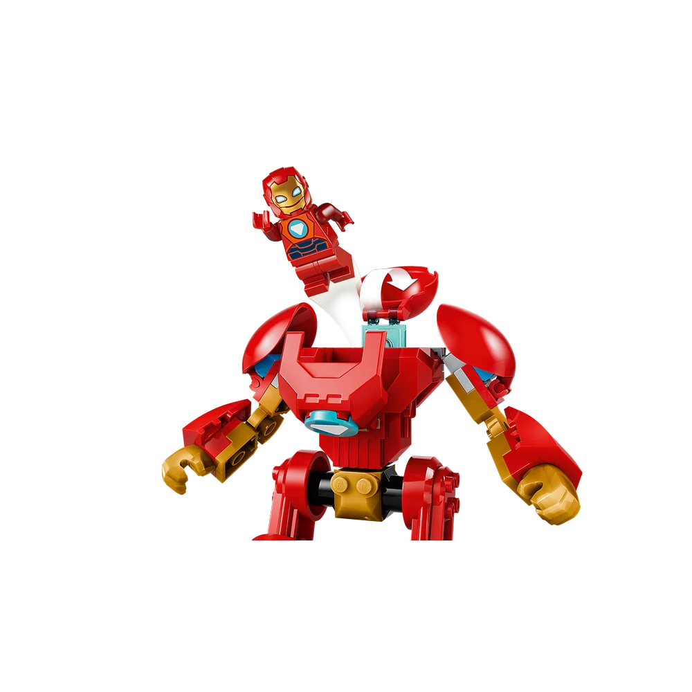 LEGO 11209