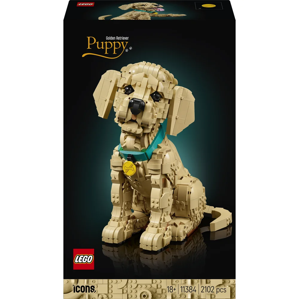 LEGO 11384
