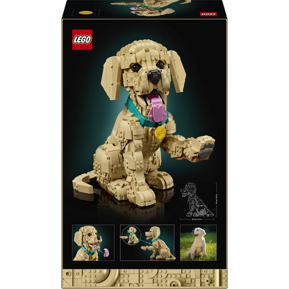 LEGO 11384