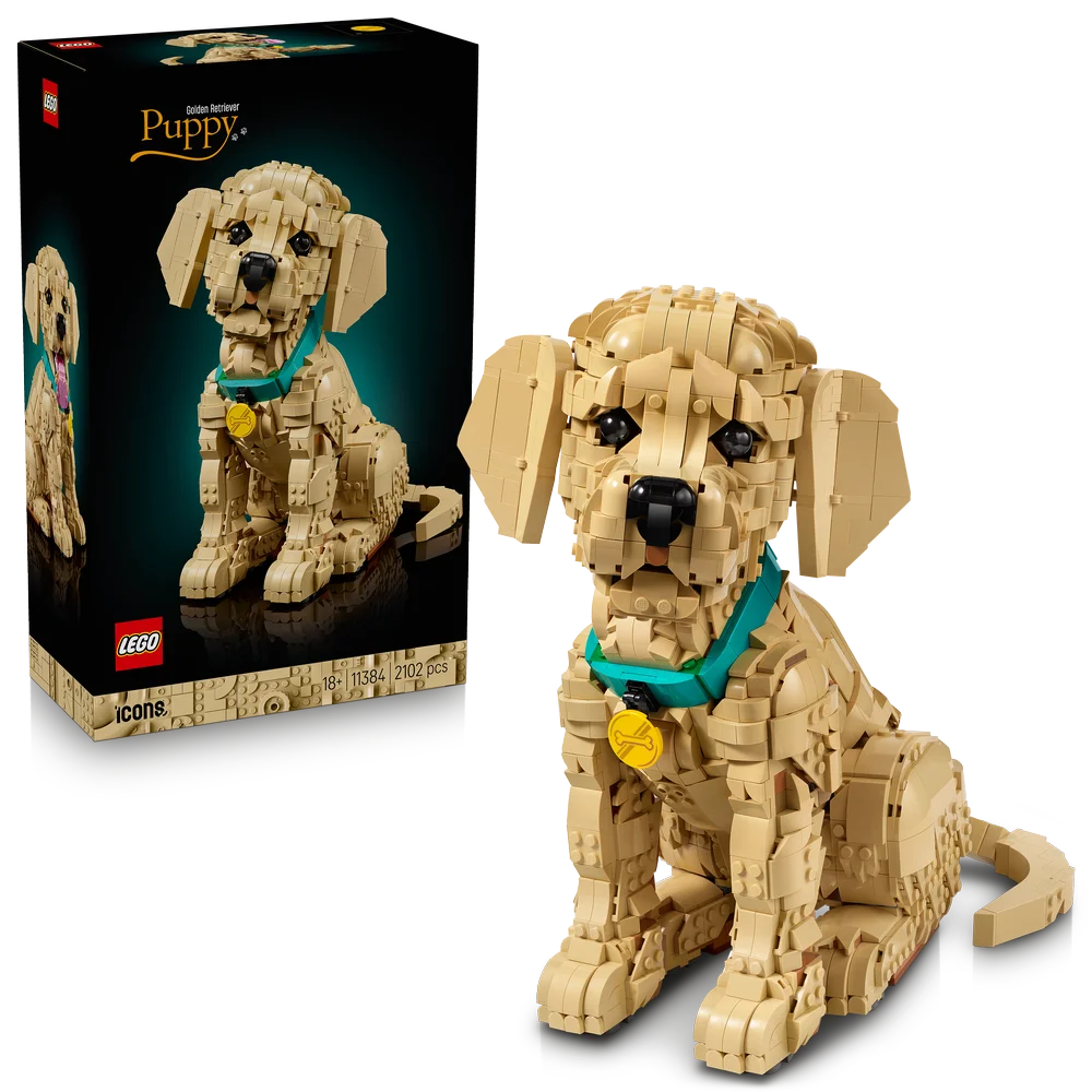 LEGO 11384