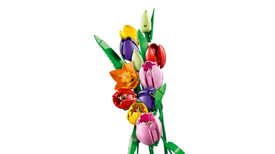 LEGO Botanicals - Boeket met tulpen - 11501