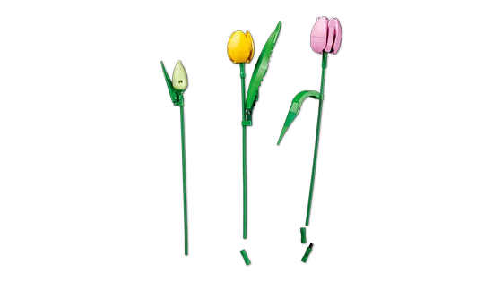 LEGO Botanicals - Boeket met tulpen - 11501