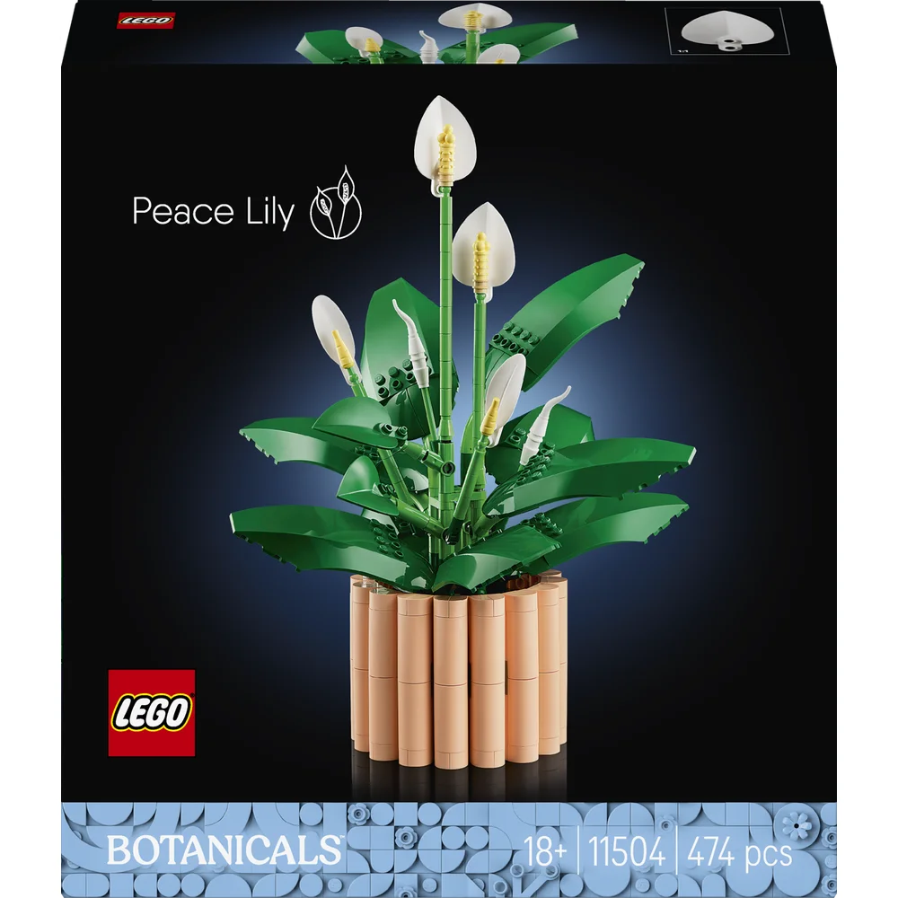 LEGO 11504