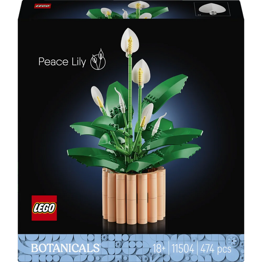 LEGO 11504