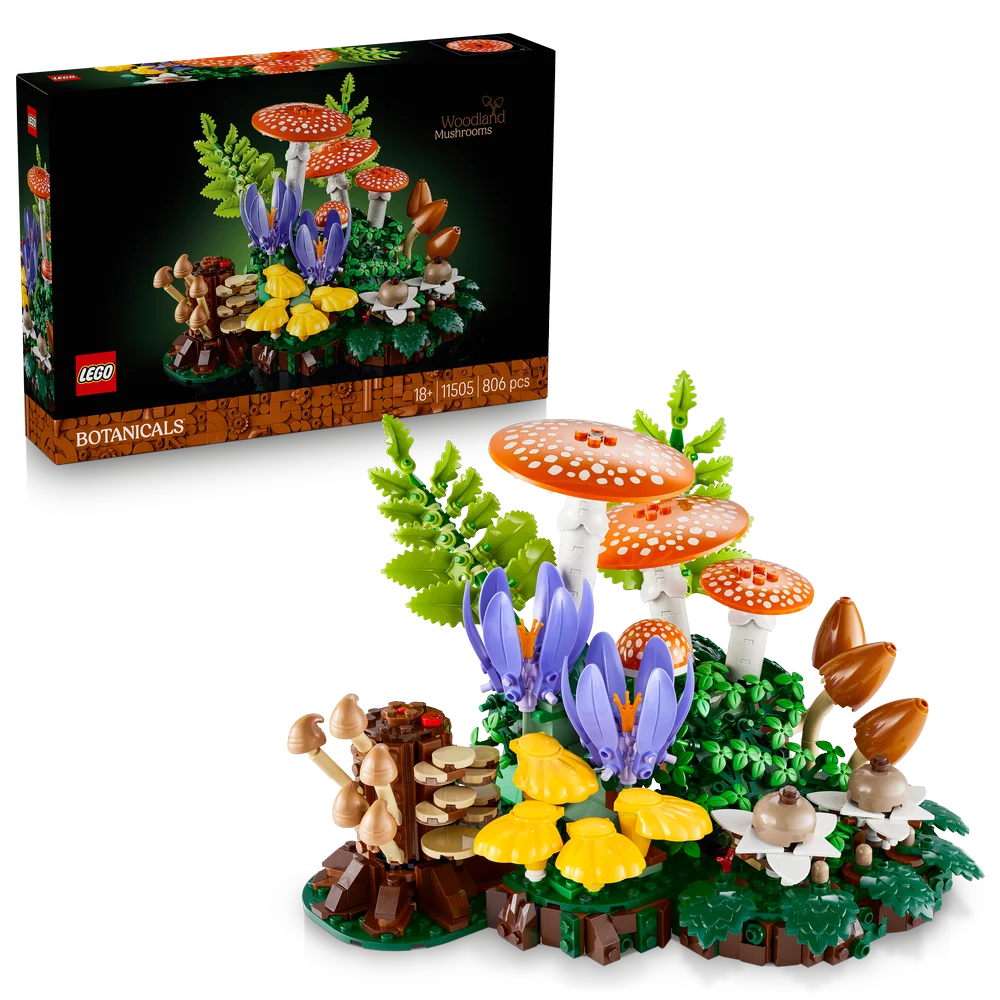 LEGO 11505