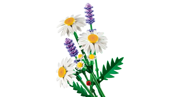 LEGO Botanicals - Madeliefjes - 11508