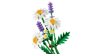 LEGO Botanicals - Madeliefjes - 11508