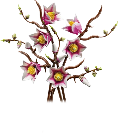 LEGO Botanicals - Magnoliatakken - 11510