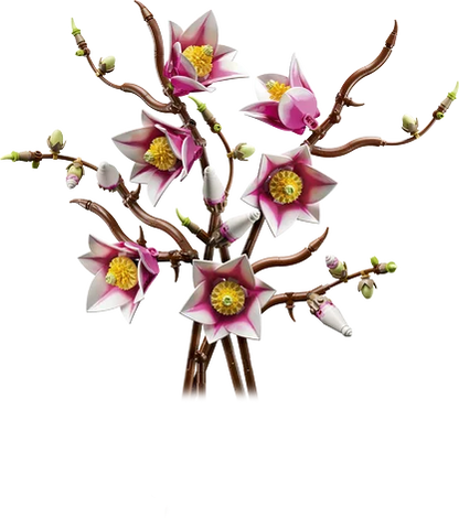 LEGO Botanicals - Magnoliatakken - 11510