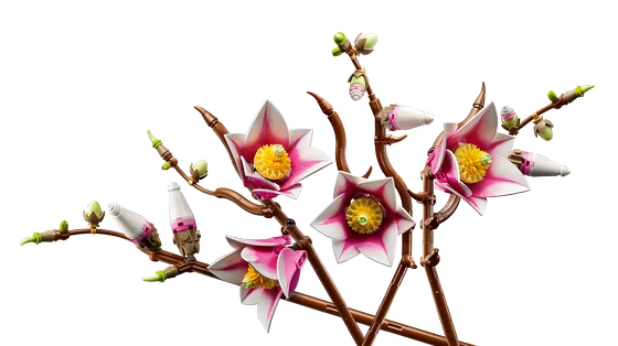 LEGO Botanicals - Magnoliatakken - 11510