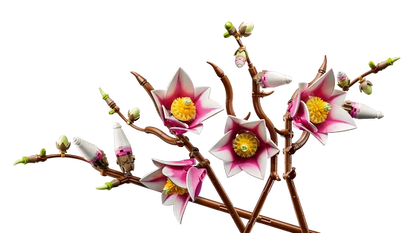 LEGO Botanicals - Magnoliatakken - 11510