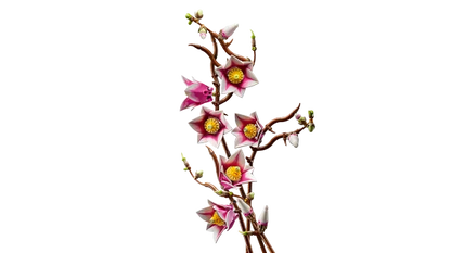 LEGO Botanicals - Magnoliatakken - 11510