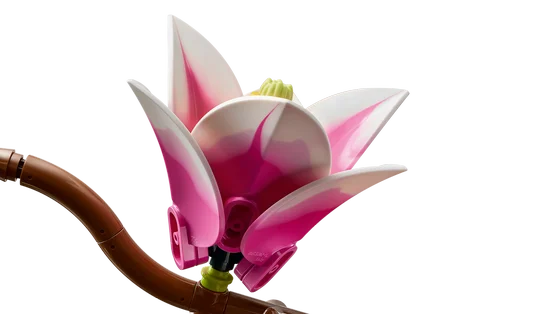 LEGO Botanicals - Magnoliatakken - 11510