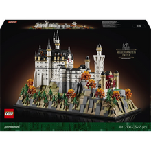 LEGO 21063