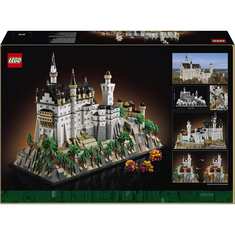 LEGO 21063