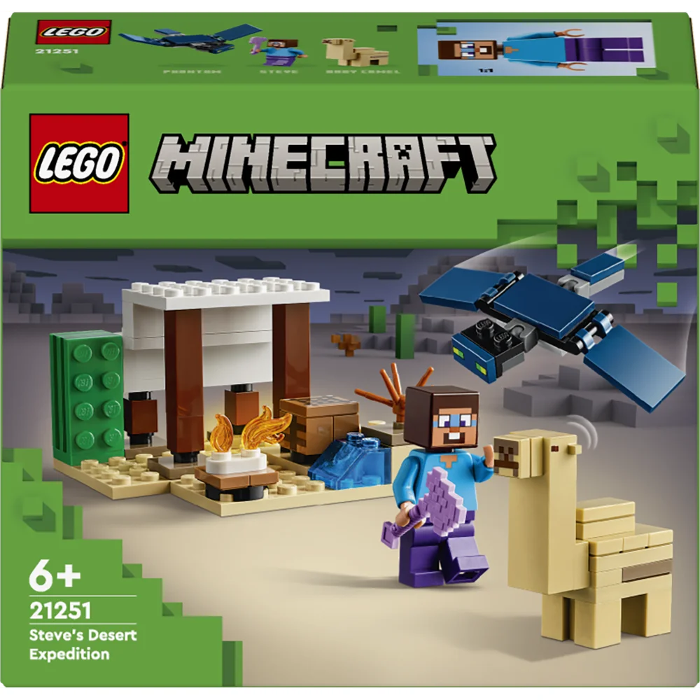 LEGO 21251