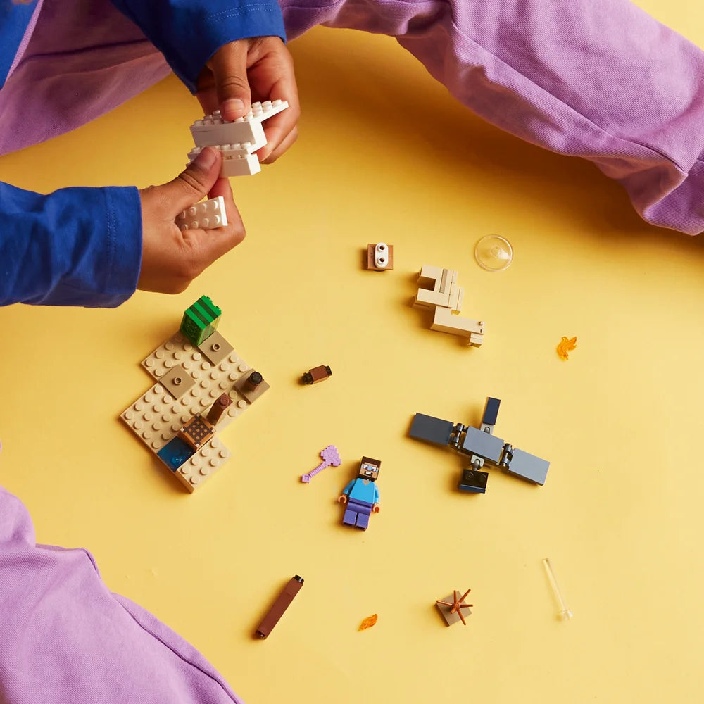 LEGO 21251