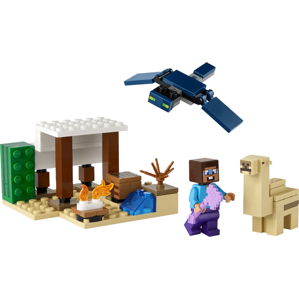 LEGO 21251