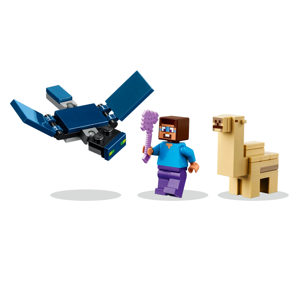 LEGO 21251