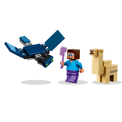 LEGO 21251