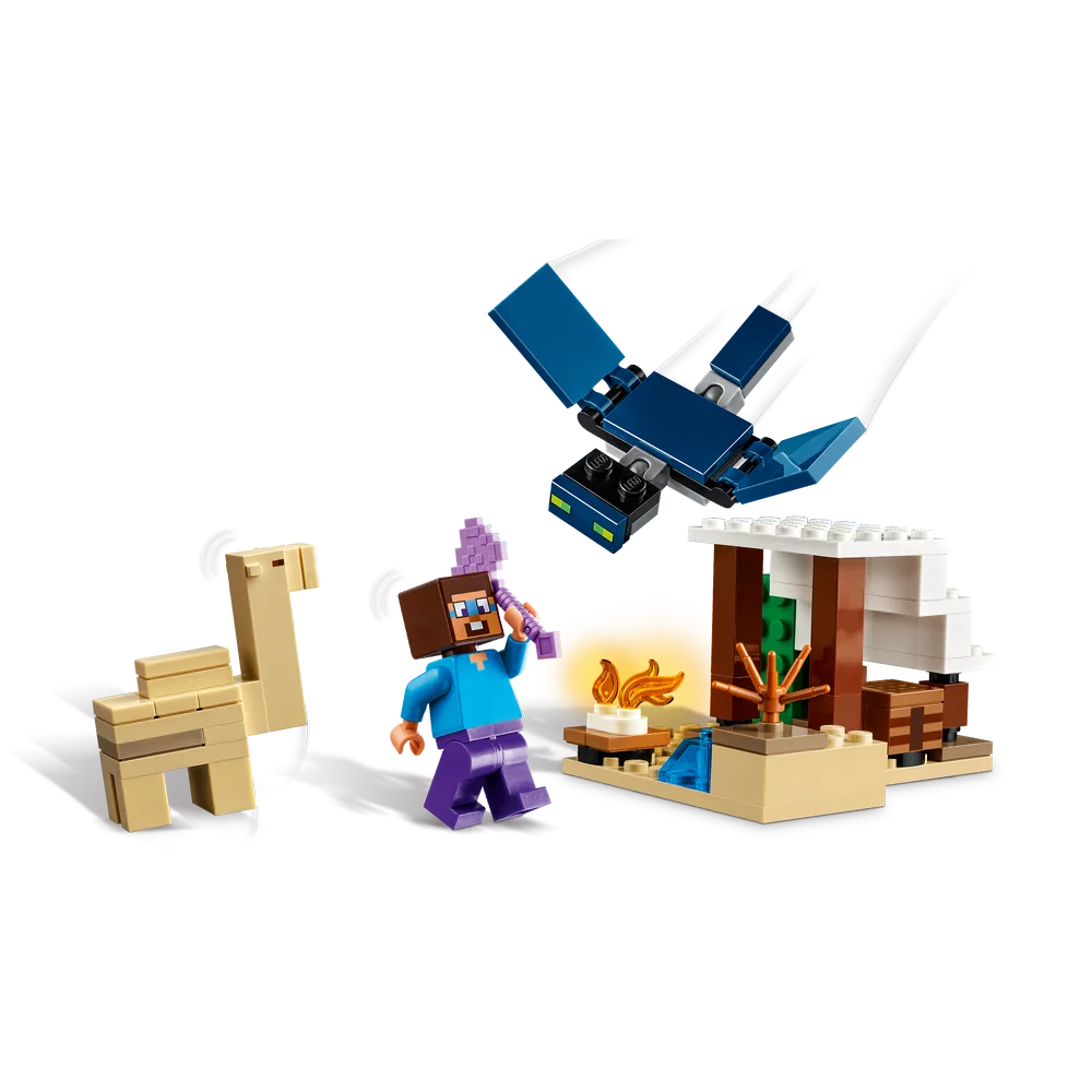 LEGO 21251