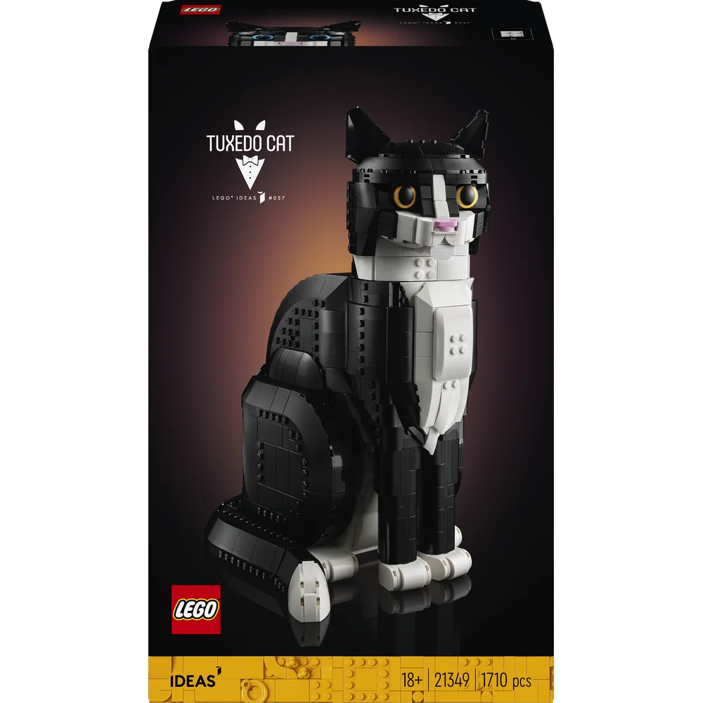 LEGO 21349