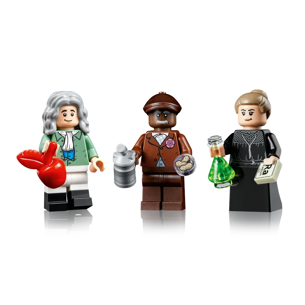 LEGO 21355