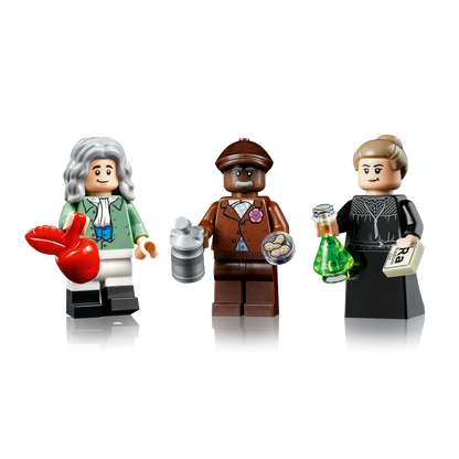 LEGO 21355