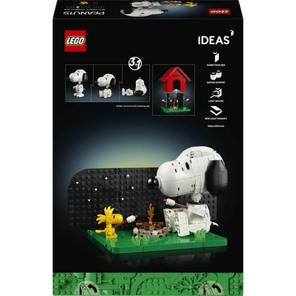 LEGO 21368